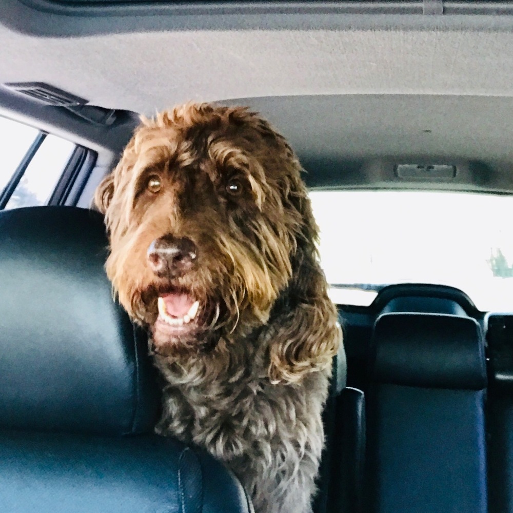 Meet your Posher, Staci